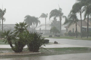 florida-summertime-downpour-2022-10-31-09-26-03-utc