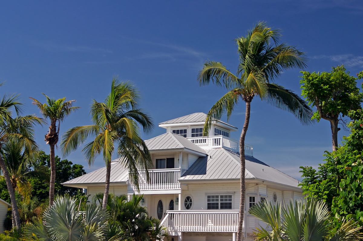 Tropical house with palm tree and metal roof