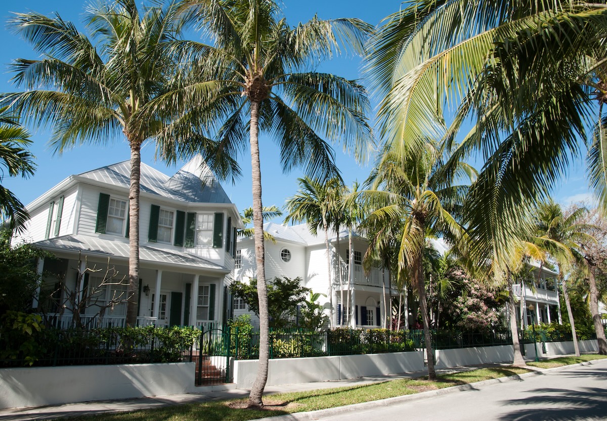 The lush tropical street in Florida, metal roofs on houses