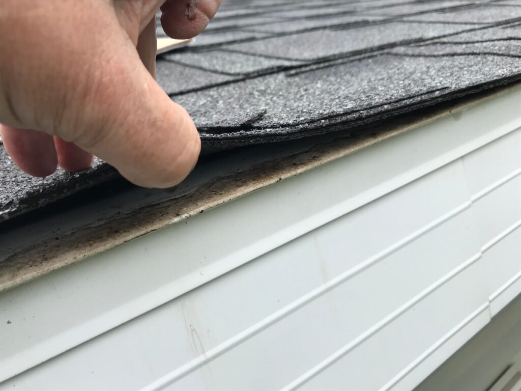 A close-up of a hand lifting the edge of a roof shingle during roof inspections, revealing the underlayment and decking near the edge above white siding.