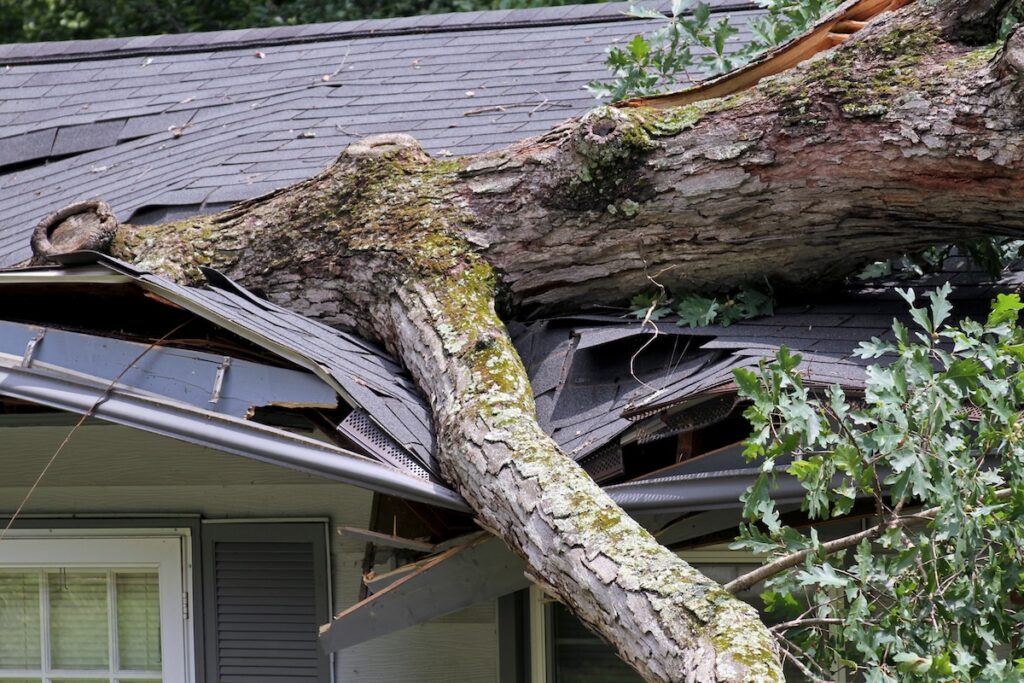 A large tree has fallen onto the roof of a house, causing significant storm damage to the shingles and structure