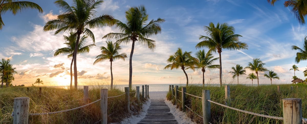 A wooden pathway leads through grassy dunes and palm trees to a sandy beach at sunset