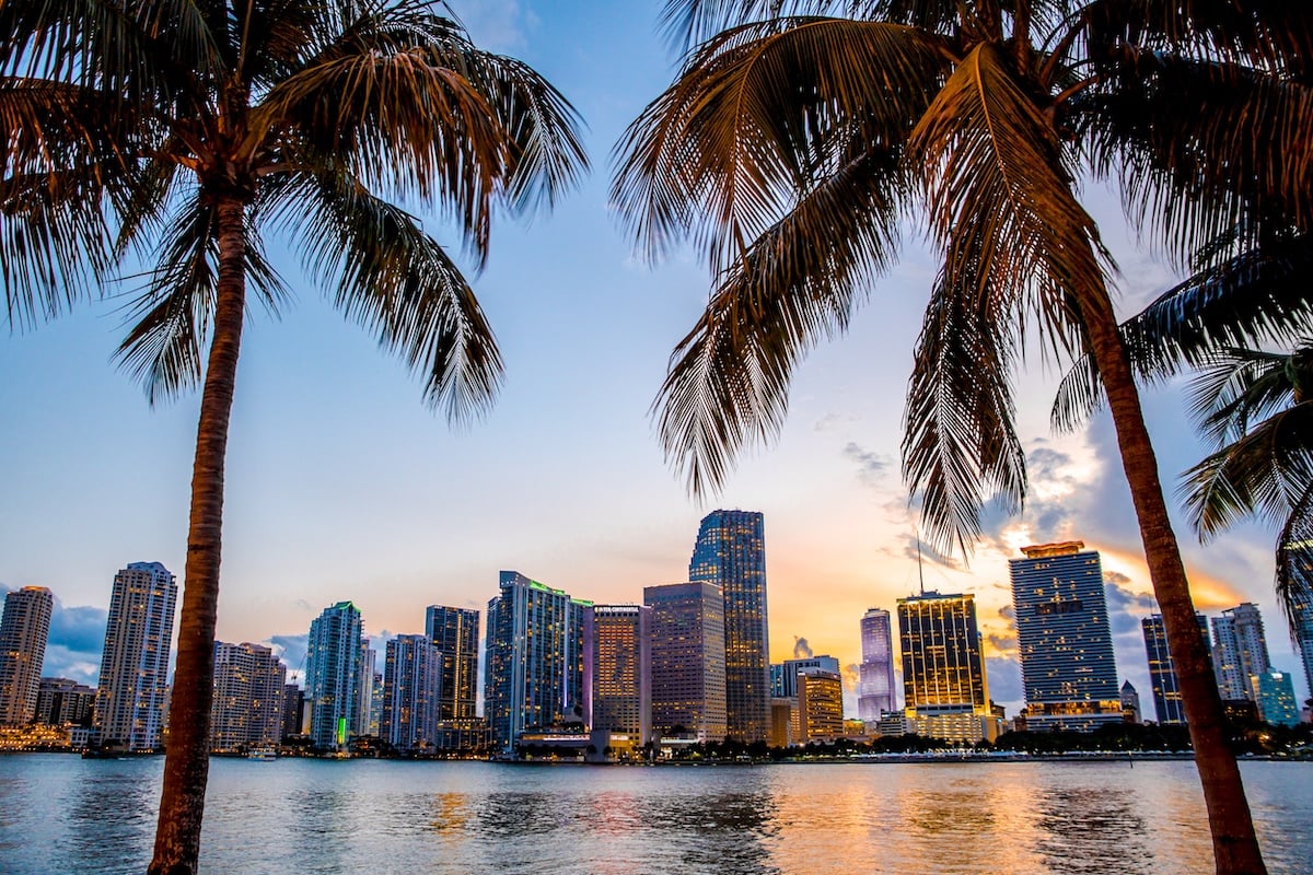 Two palm trees frame a waterfront view of a city skyline at sunset, with tall modern buildings reflecting on the water