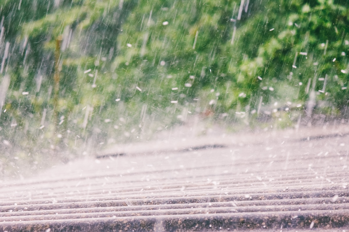 Heavy hail falls on a slanted rooftop, with green, leafy trees blurred in the background