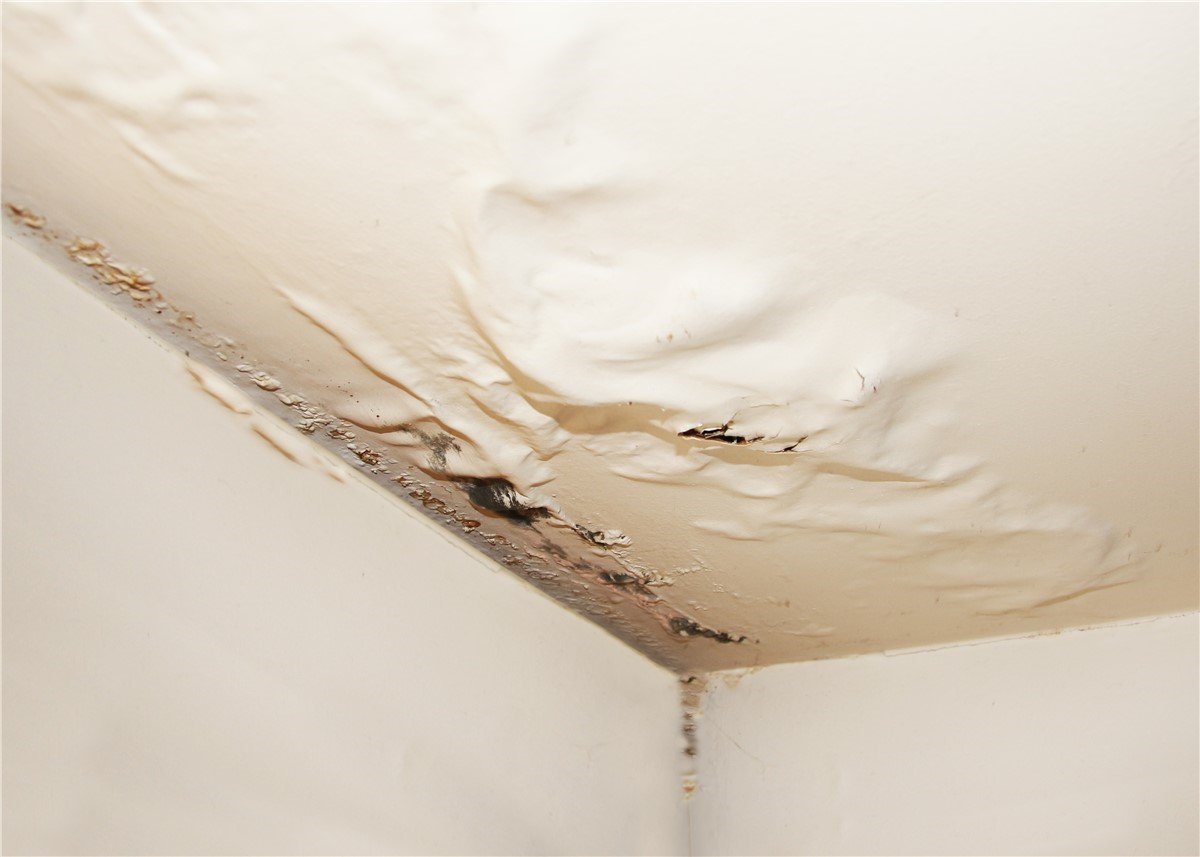 A close-up of a ceiling corner with water damage, showing peeling, bubbling, and discolored paint. Mold and moisture stains are visible where the wall meets the ceiling.
