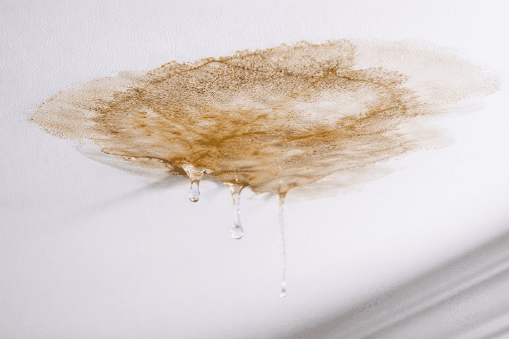 A close-up of a ceiling with a large, brown water stain and several drops of water leaking down, indicating water damage.