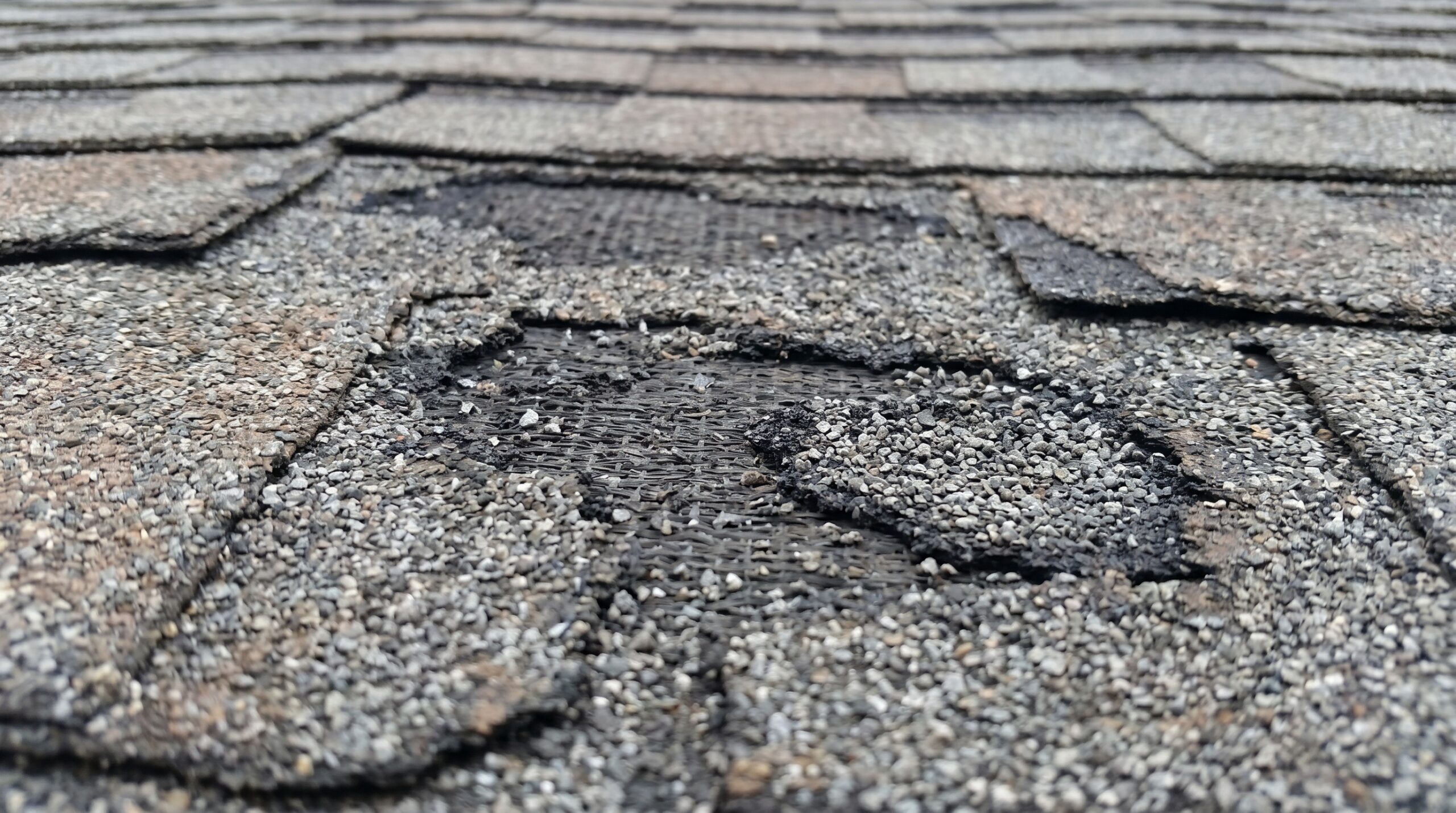 Close-up view of roof shingles with visible damage, including missing granules and exposed black underlayment, indicating wear and potential need for repair.
