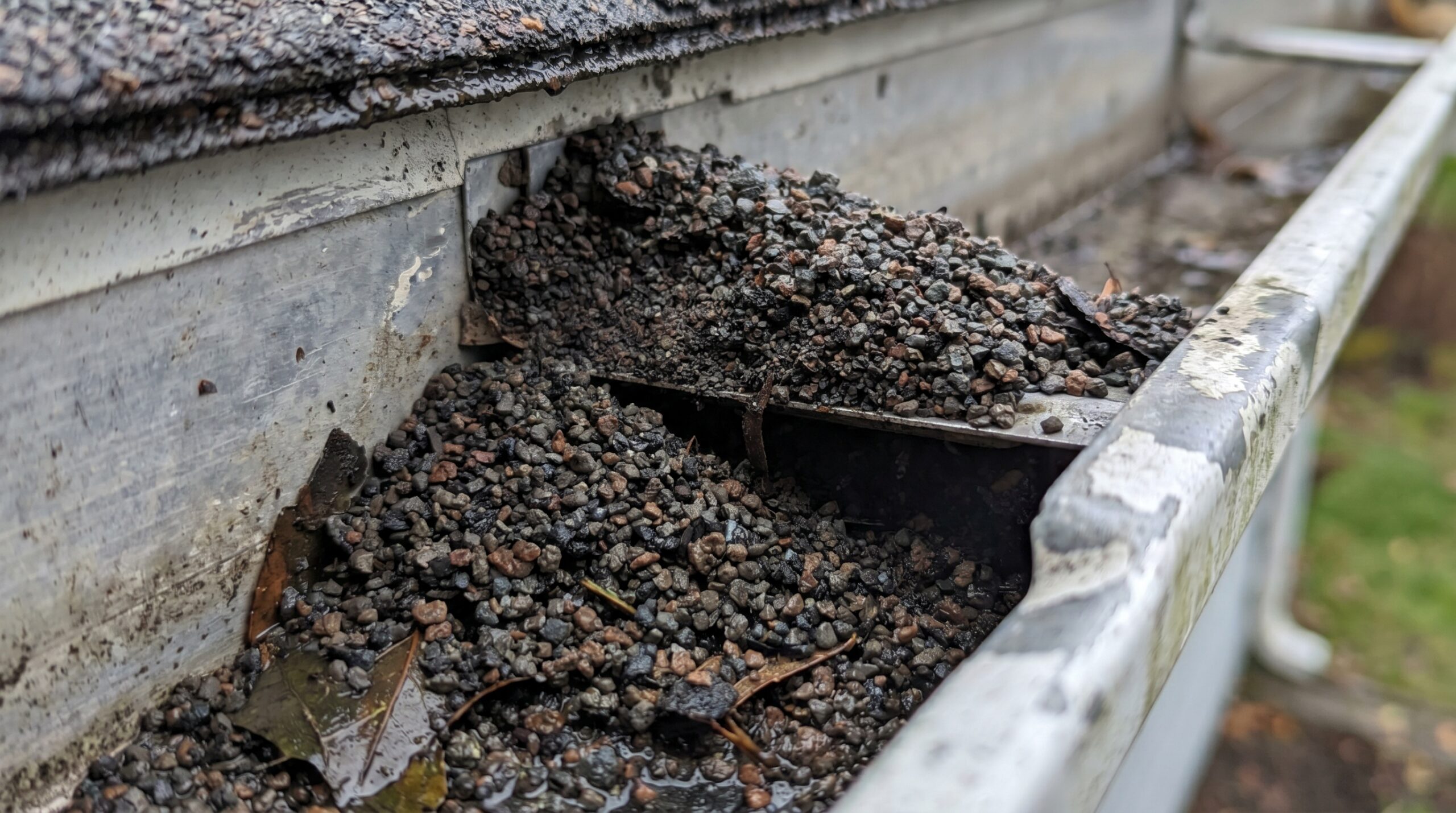 Granules collected in gutter and downspout showing excessive loss