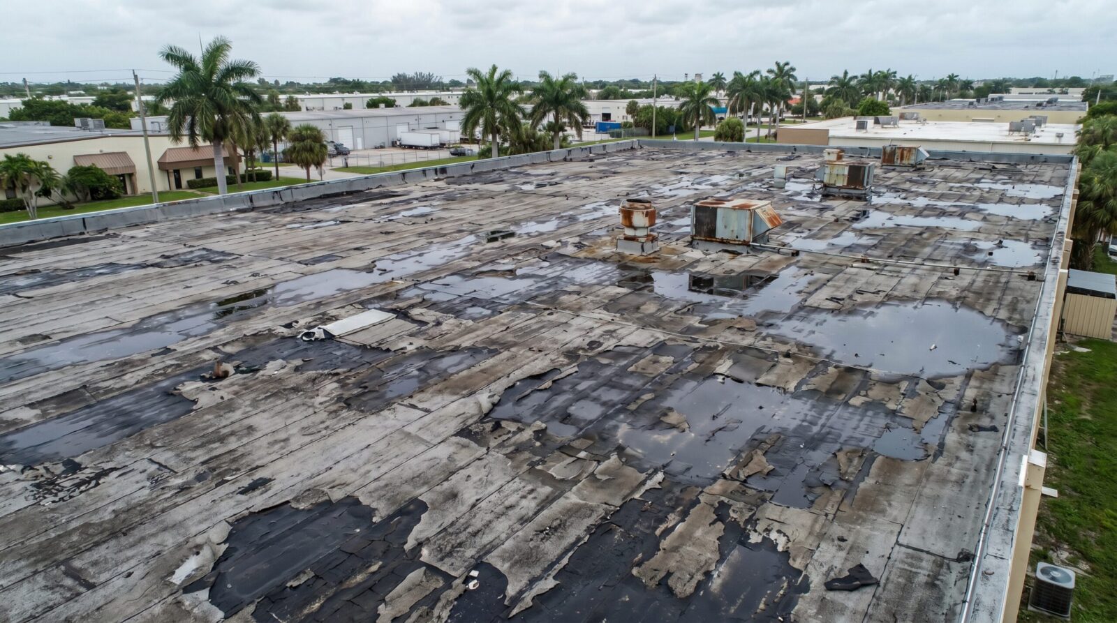 A large flat commercial roof with significant water damage, peeling and torn roofing material, puddles of water, and several rooftop HVAC units, surrounded by palm trees and industrial buildings.