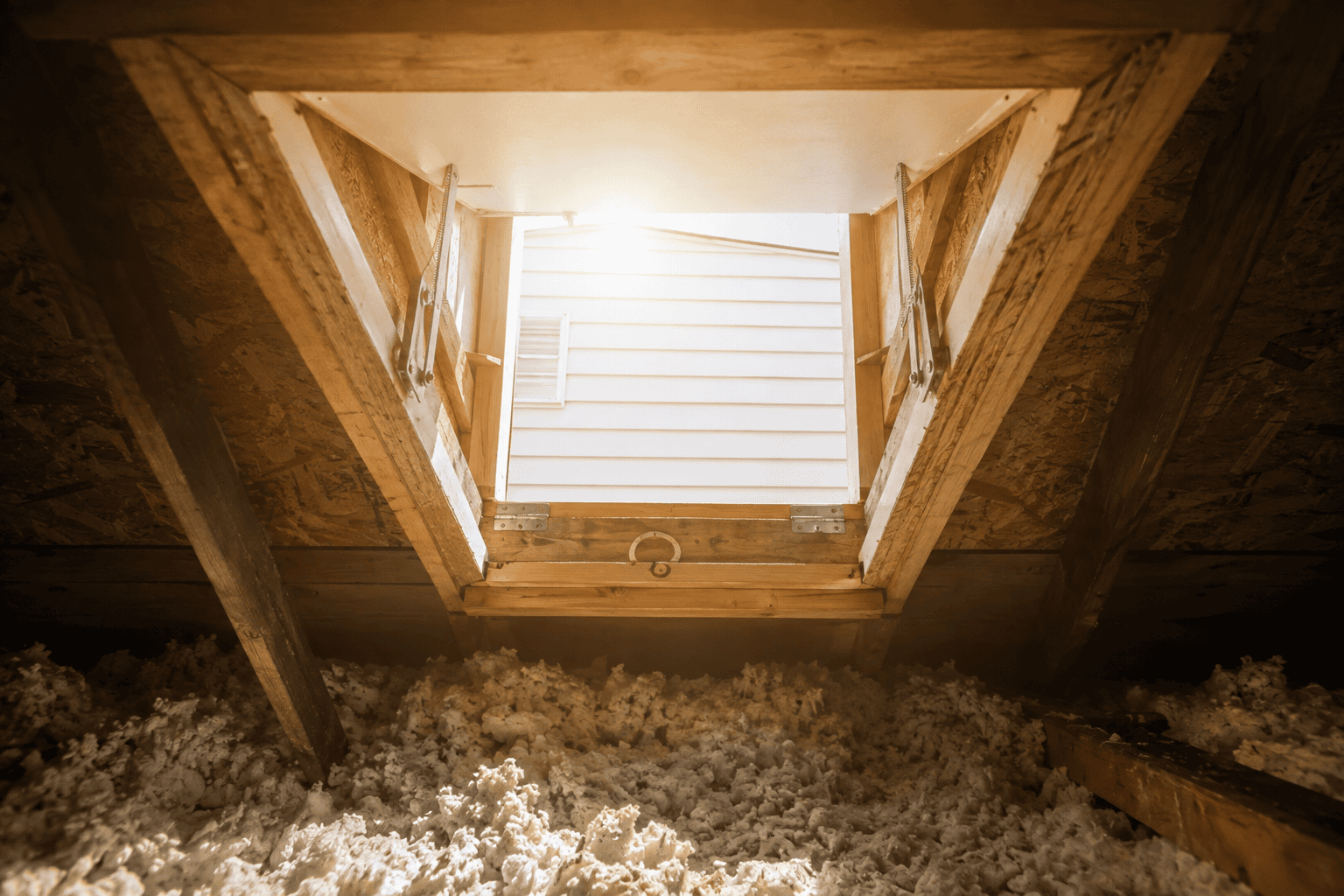 View from an attic looking up at an open hatch door, sunlight shining in, with insulation on the attic floor and the exterior wall of a house visible outside.